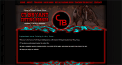 Desktop Screenshot of ctbryantcuttinghorsesonline.com